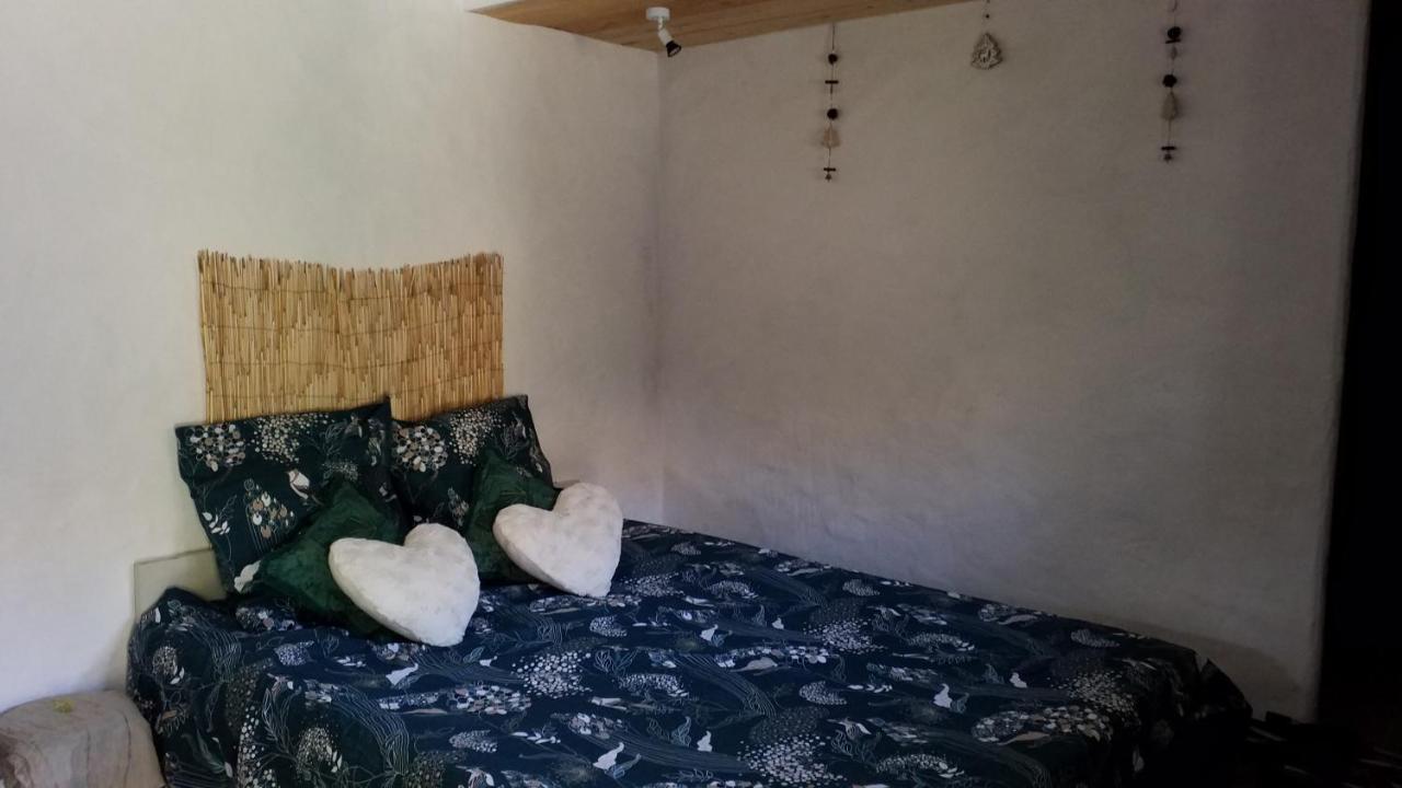 Le Petit Nid Bed & Breakfast Sablieres Екстериор снимка