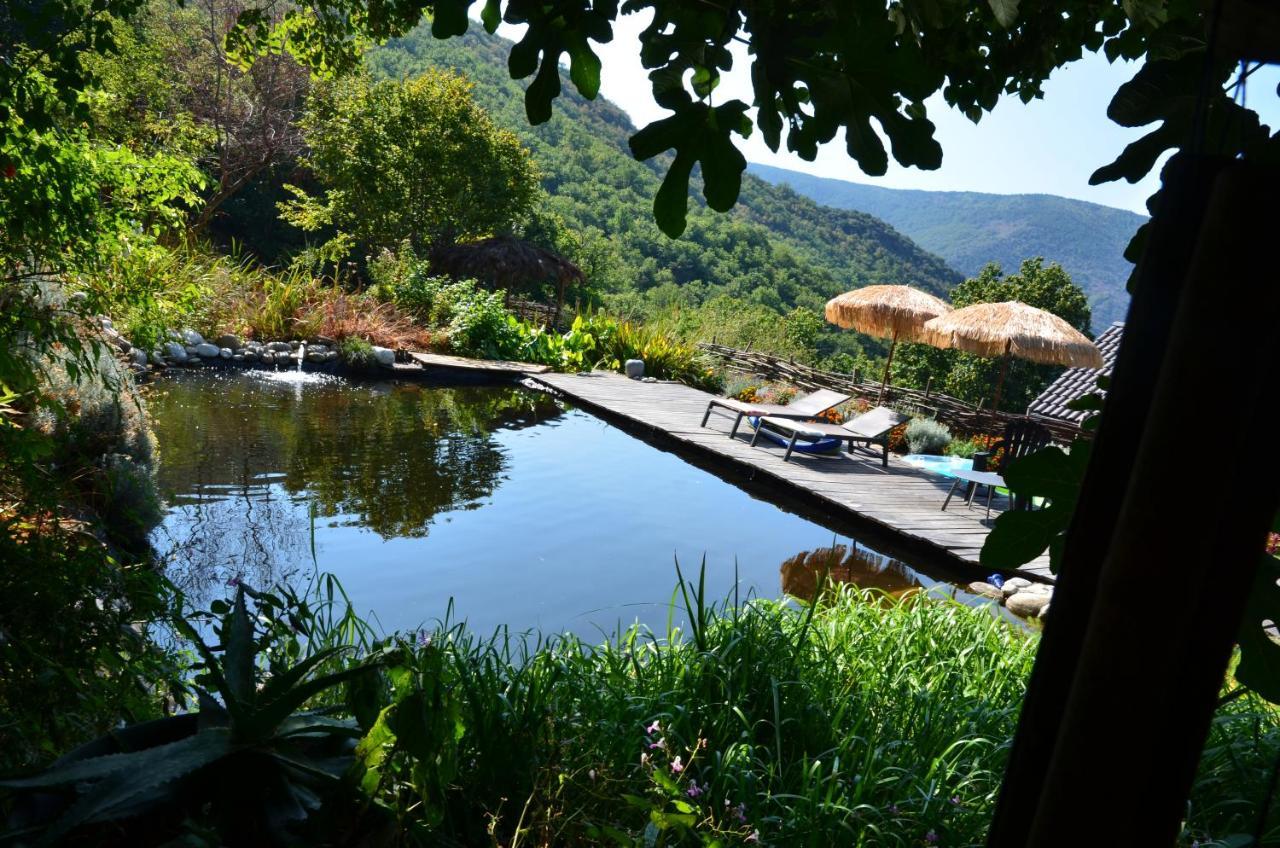 Le Petit Nid Bed & Breakfast Sablieres Екстериор снимка